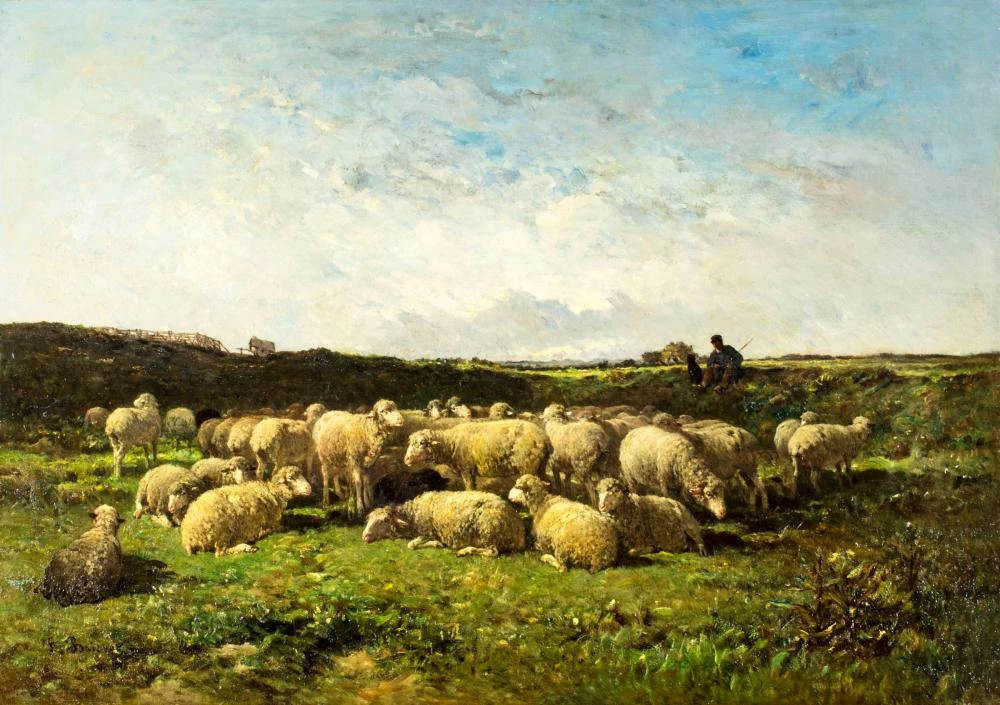 Paesaggio con pecore